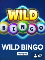 Wild Bingo BC Game UAE game cover