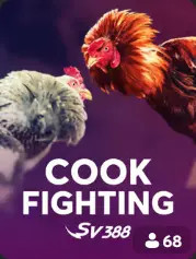 Cock Fighting BC Game UAE game cover